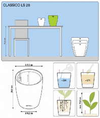 office plants